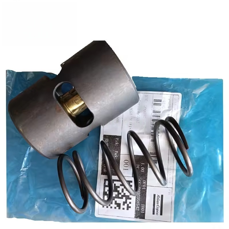 1623992500 Solenoid Valf Atlas Vidalı Hava Kompresörü Çek Valf Kiti